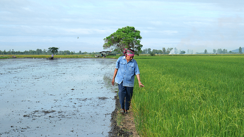 ชาวนาเมืองสุพรรณ เกษตรกรวัยเก๋า หัวสมัยใหม่เปิดใจเรียนรู้