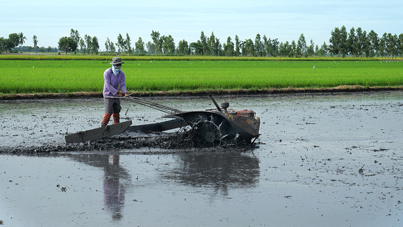 ชาวนาเมืองสุพรรณ เกษตรกรวัยเก๋า หัวสมัยใหม่เปิดใจเรียนรู้