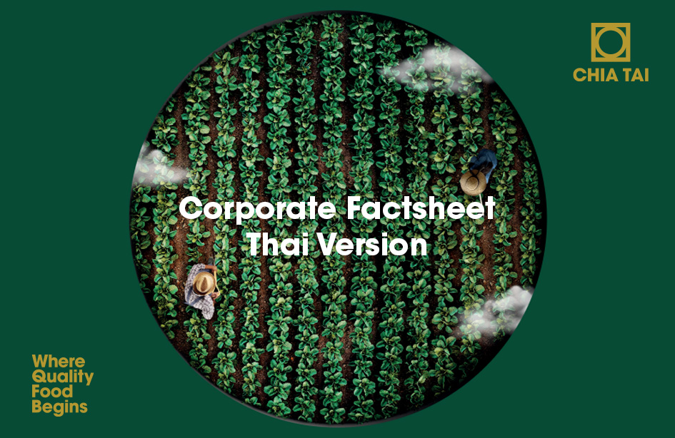 Corporate Factsheet Thai Version