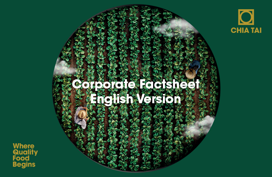 Corporate Factsheet English Version