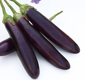 Eggplant